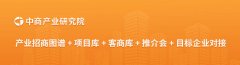 2024年净利润逆势增