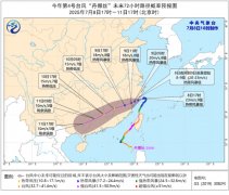 为何“丹娜丝”本